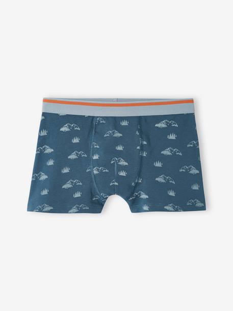 Lot de 5 boxers stretch Yéti garçon bleu grisé 3 - vertbaudet enfant 