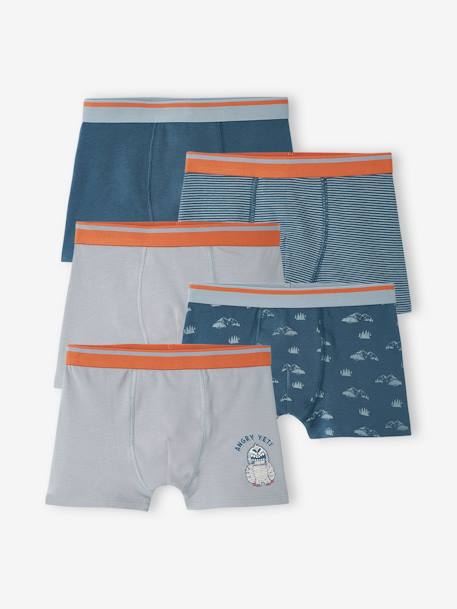 Lot de 5 boxers stretch Yéti garçon bleu grisé 1 - vertbaudet enfant 