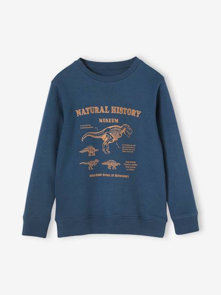 Sweat Basics motifs graphiques garçon bleu nuit+noix de pécan+vert 2 - vertbaudet enfant 