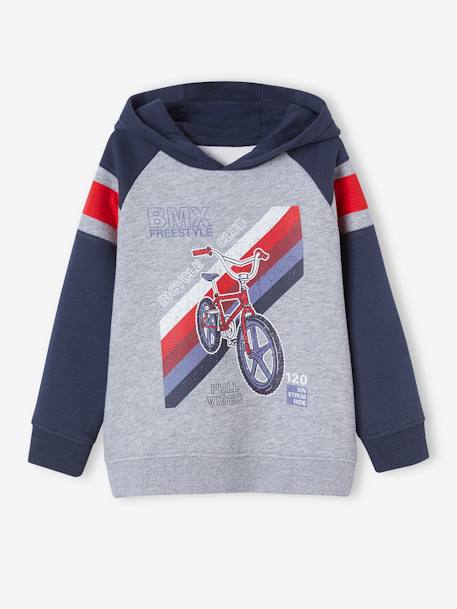 Sweat à capuche motif graphique manches raglan garçon bleu nuit+noix de pécan+vert anglais 2 - vertbaudet enfant 