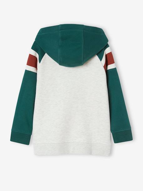 Sweat à capuche motif graphique manches raglan garçon bleu nuit+noix de pécan+vert anglais 10 - vertbaudet enfant 