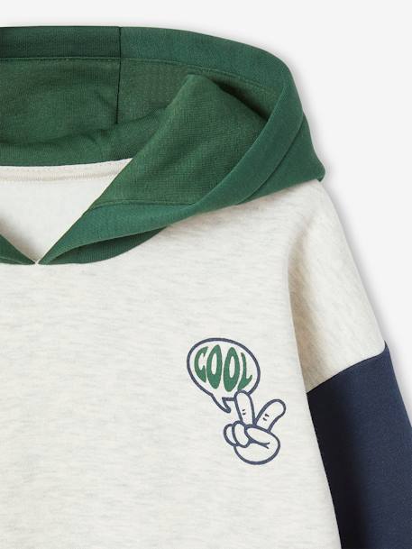 Sweat à capuche colorblock garçon vert 3 - vertbaudet enfant 