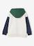 Sweat à capuche colorblock garçon vert 2 - vertbaudet enfant 