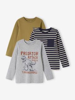 -Lot de 3 T-shirts Basics garçon manches longues