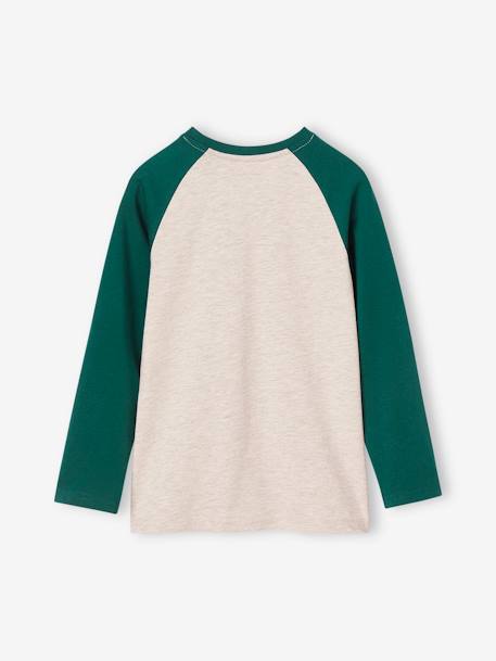 T-shirt motif graphique garçon manches raglan BLEU+gris chiné+vert sapin 8 - vertbaudet enfant 