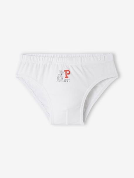 Lot de 3 slips garçon Pat’Patrouille® Assortis 4 - vertbaudet enfant 