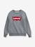 Sweat garçon Batwing Crewneck de Levi's® gris 3 - vertbaudet enfant 