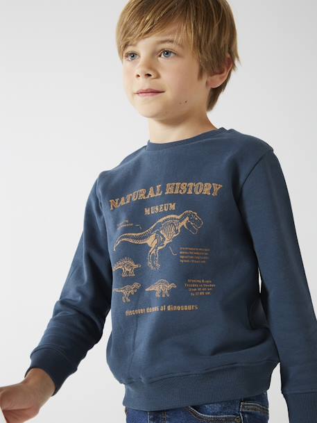 Sweat Basics motifs graphiques garçon bleu nuit+noix de pécan+vert 1 - vertbaudet enfant 