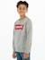 Sweat garçon Batwing Crewneck de Levi's® gris 6 - vertbaudet enfant 