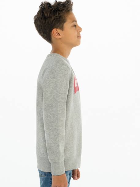 Sweat garçon Batwing Crewneck de Levi's® gris 10 - vertbaudet enfant 