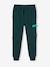 Pantalon jogging multipoches garçon vert sapin 1 - vertbaudet enfant 