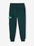 Pantalon jogging multipoches garçon vert sapin 3 - vertbaudet enfant 