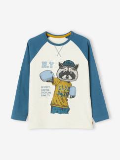 Tee-shirt sport motif raton boxeur garçon manches raglan  - vertbaudet enfant