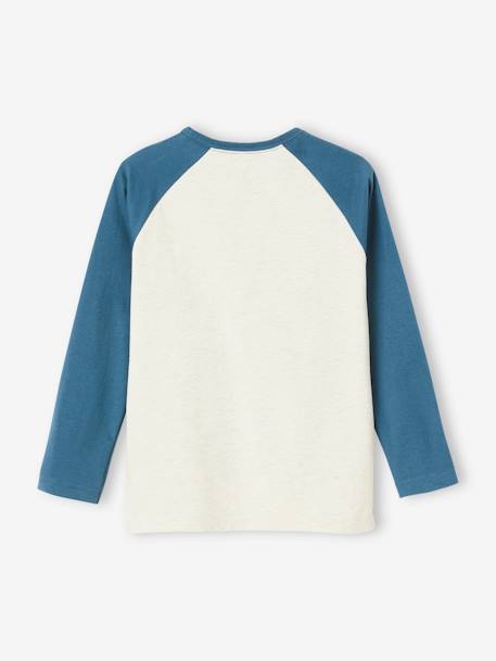 Tee-shirt sport motif raton boxeur garçon manches raglan écru chiné 2 - vertbaudet enfant 