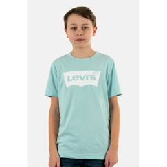 Garçon-T-shirt, polo, sous-pull-Tee shirt manches courtes levis batwing e2d green