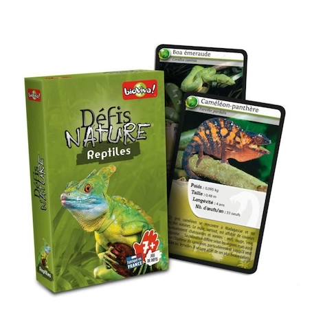Bioviva - Défis Nature - Reptiles VERT 3 - vertbaudet enfant 