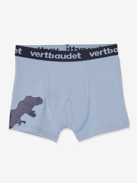 Lot de 5 boxers stretch garçon dinosaures Lot AOP dino 5 - vertbaudet enfant 