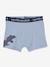 Lot de 5 boxers stretch garçon dinosaures Lot AOP dino 5 - vertbaudet enfant 