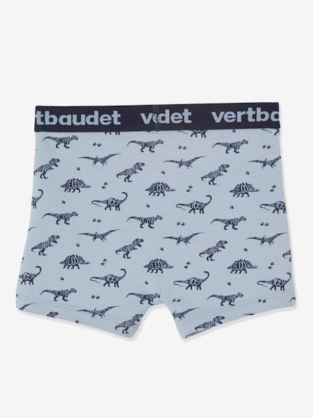 Lot de 5 boxers stretch garçon dinosaures Lot AOP dino 7 - vertbaudet enfant 