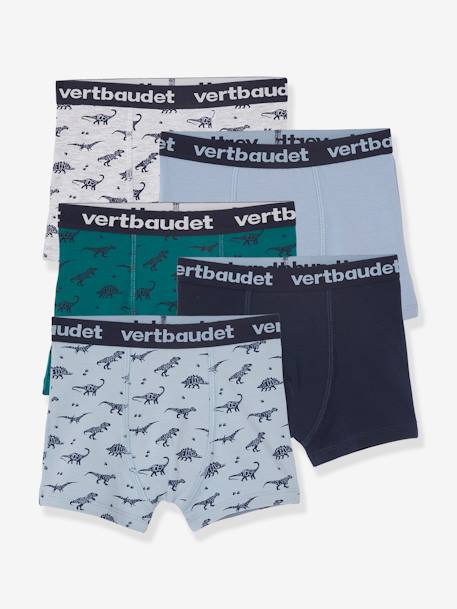 Garçon-Sous-vêtement-Slip, Boxer-Lot de 5 boxers stretch garçon dinosaures