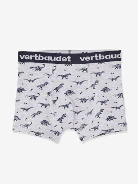 Lot de 5 boxers stretch garçon dinosaures Lot AOP dino 6 - vertbaudet enfant 