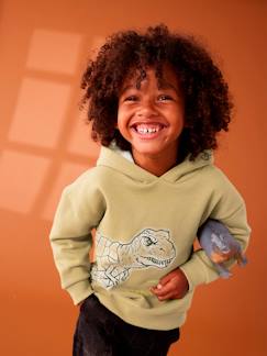 -Sweat motif dinosaure garçon capuche doublée sherpa