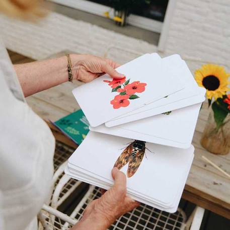 Mondy des P'tits Curieux : 45 cartes de langage bilingues sur le thème de la Nature VERT 3 - vertbaudet enfant 