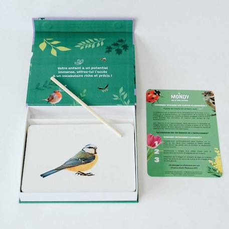 Mondy des P'tits Curieux : 45 cartes de langage bilingues sur le thème de la Nature VERT 2 - vertbaudet enfant 