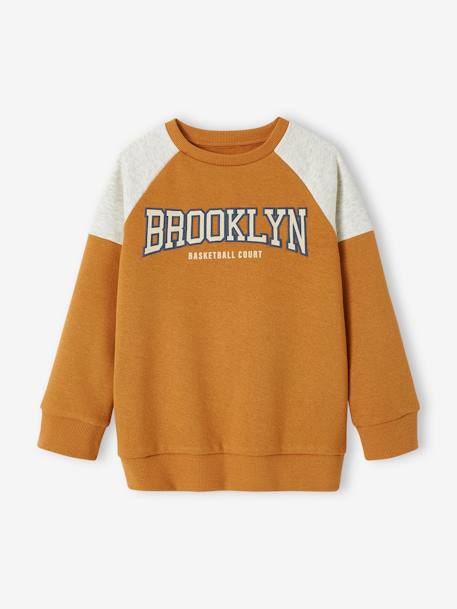 Garçon-Vêtements de sport-Sweat sport color block team Brooklyn garçon