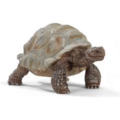 -Figurine Tortue géante - SCHLEICH - Wild Life - Pour enfants à partir de 3 ans - Garantie 2 ans