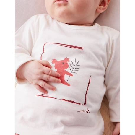 Set de 2 t-shirts en coton manches longues BLANC 2 - vertbaudet enfant 