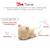 Figurine Tonie - TONIES® - Mes Copains Du Dodo - Doudou Nounours - Audio pour Toniebox BLANC 2 - vertbaudet enfant 