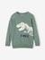 Pull ludique dinosaure Garçon vert sauge 1 - vertbaudet enfant 