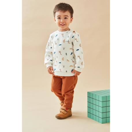 Bébé-Ensemble-Set sweat + jogging imprimé dinosaures