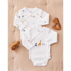 Bébé-Body-Set de 2 bodies croisés manches longues imprimé dino