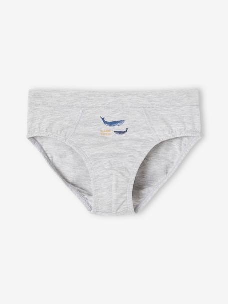 Lot de 7 slips stretch baleines garçon en coton bio bleu ciel 3 - vertbaudet enfant 