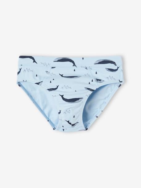 Lot de 7 slips stretch baleines garçon en coton bio bleu ciel 5 - vertbaudet enfant 