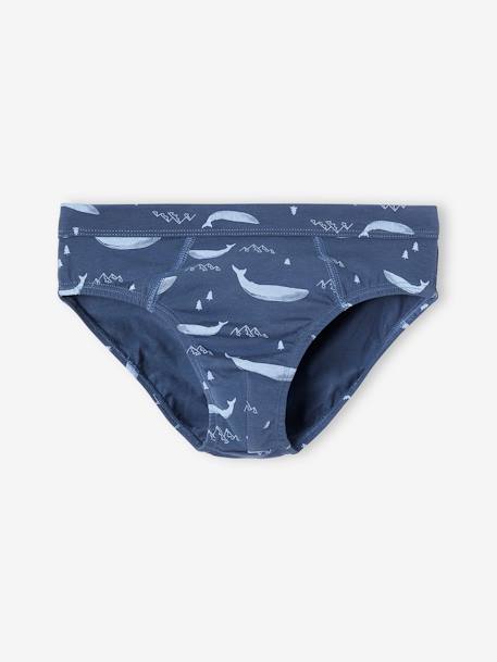 Lot de 7 slips stretch baleines garçon en coton bio bleu ciel 2 - vertbaudet enfant 