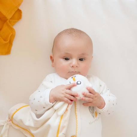 Doudou chouette - Marque - Modèle - Beige - 26 x 26 cm - Mixte - Bébé - 0 mois - Naissance - Doudou - Non BEIGE 2 - vertbaudet enfant 