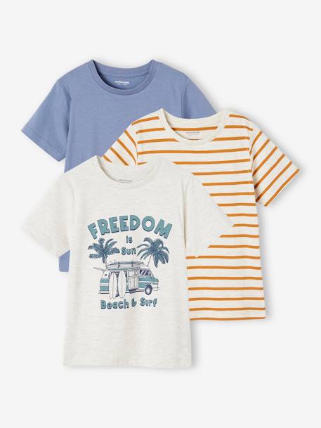 Lot de 3 T-shirts Basics garçon manches courtes  - vertbaudet enfant