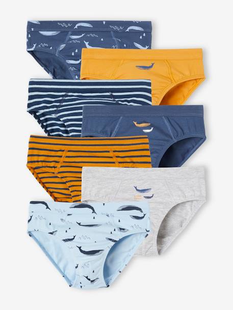 Lot de 7 slips stretch baleines garçon en coton bio bleu ciel 1 - vertbaudet enfant 