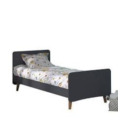 Chambre et rangement-Chambre-Lit bébé, lit enfant-Lit - AKITEN RETAIL - Spike - Bois massif - Gris anthracite - 1 place - À monter soi-même