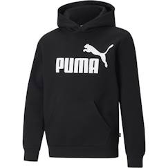 -Sweat A Capuche Puma Big Logo Hoodie