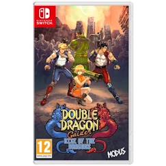 Jouet-Jeux vidéos et jeux d'arcade-Double Dragon Gaiden: Rise of the Dragons - Jeu Nintendo Switch