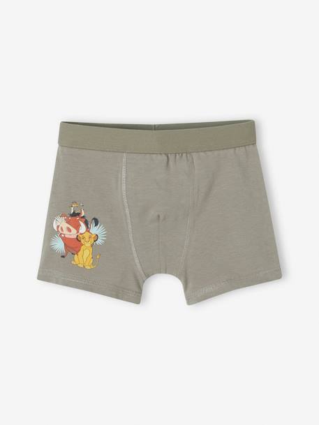 Lot de 3 boxers Disney® Le Roi Lion Assortis 2 - vertbaudet enfant 