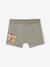 Lot de 3 boxers Disney® Le Roi Lion Assortis 2 - vertbaudet enfant 