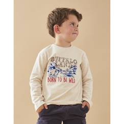 T-shirt longues manches imprimé "Buffalo land"  - vertbaudet enfant