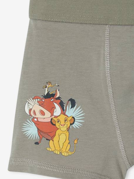 Lot de 3 boxers Disney® Le Roi Lion Assortis 7 - vertbaudet enfant 