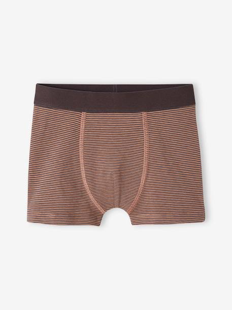 Lot de 5 boxers stretch graphiques garçon en coton bio écru 3 - vertbaudet enfant 