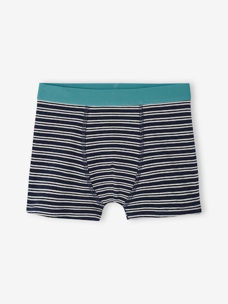 Lot de 4 boxers stretch 'van' garçon en coton bio vert d'eau 4 - vertbaudet enfant 